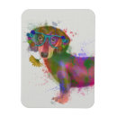 Search for dachshund magnets Dachsund