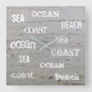 Search for driftwood clocks Beach
