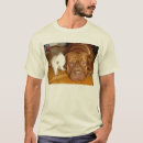 Search for aspca Dog