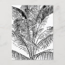 Search for palm trees pattern postcards Palm tree leaves
