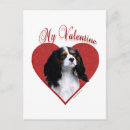 Search for cavalier king charles spaniel valentines day cards Ckcs
