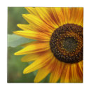 Search for summer sunflower tiles Garden