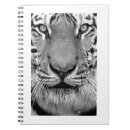 Search for animal binders White