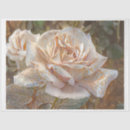 Search for rose gold tissue paper Botanical