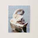 Search for swan puzzles Birds