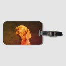 Search for vizsla gifts Cute