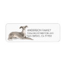 Search for italian return address labels Dog