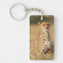 Search for acinonyx key rings Colour image