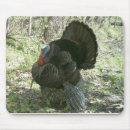 Search for turkey mousepads Outdoors