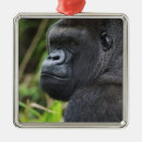 Search for mammal christmas tree decorations Face
