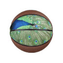 Search for pea fowl Blue