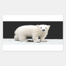 Search for polar stickers Cub