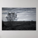 Search for lonely art Tree