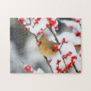 Search for danita delimont puzzles Bush