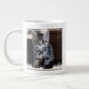 Search for baby kitten mugs Fluffy