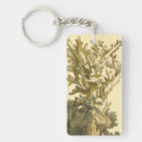 Search for kelp key rings Algae