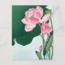 Search for flower bloom postcards Pink