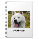 Search for akitas notebooks Cute