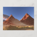 Search for drying postcards Plant