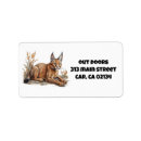 Search for packages postcards Wildlife