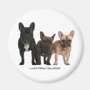 Search for pedigree magnets Dog