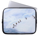 Search for cold cases Ocean