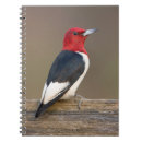 Search for avian notebooks Black