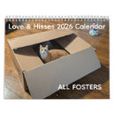 Search for feline calendars Cute kittens
