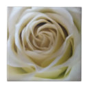 Search for details tiles White