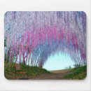 Search for willow mousepads Flowers