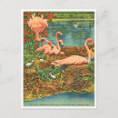 Search for vintage flamingo postcards Travel
