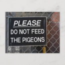 Search for feeds postcards Bird