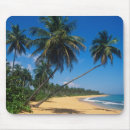 Search for johnston mousepads Beach