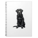Search for labrador notebooks Dog