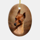 Search for miniature christmas tree decorations Pinscher