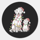 Search for cat and dog lover stickers Funny