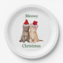Search for funny christmas paper plates Crazy cat lady