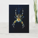 Search for orb cards Arachnid