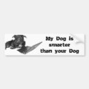 Search for dog dad bumper stickers Daddy