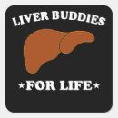 Search for organ transplant crafts party Survivor