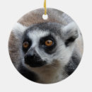 Search for lemur christmas tree decorations Ring tailed lemur