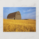 Search for rustic americana postcards Usa