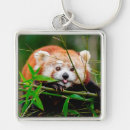 Search for red panda key rings Pandas