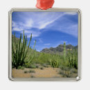 Search for pipe organ christmas tree decorations Flora