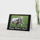 Search for fur baby mother cards Dog