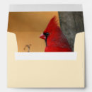 Search for bird watcher cards invites Nature