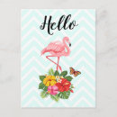 Search for flamingo flower postcards Summer