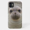 Search for cute seal iphone cases Adorable