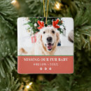 Search for loss pet memorial ornaments Loss of a dog