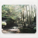 Search for cave mousepads Nature